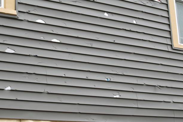 Best Engineered Wood Siding  in Oakdale, PA